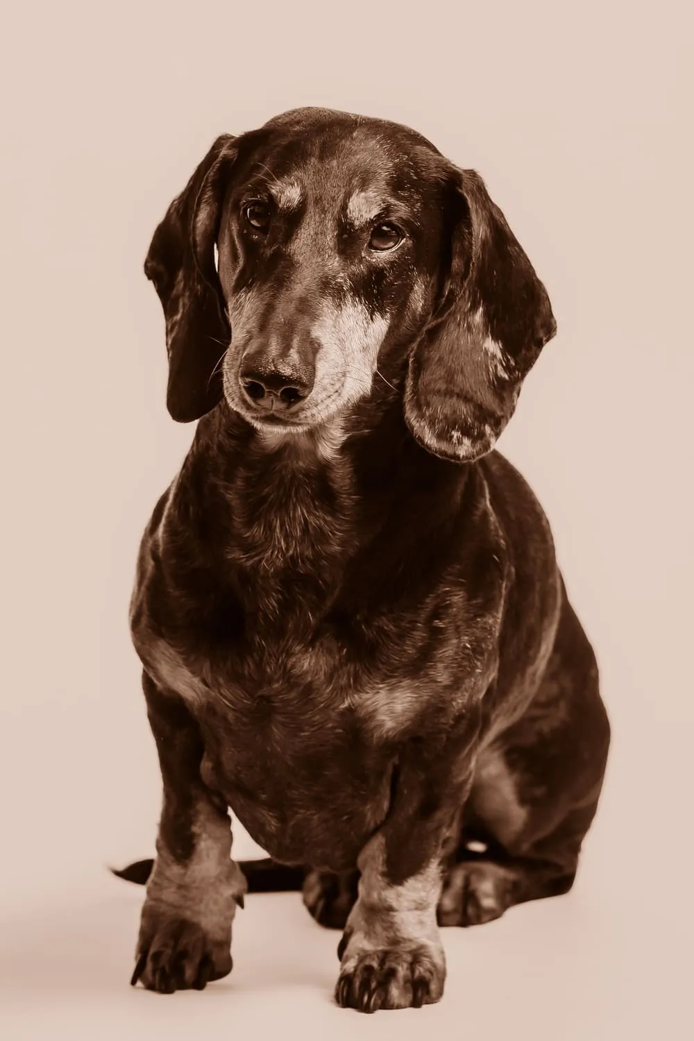 Geister Familie - Halvar